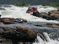 675 663 IMG_2791